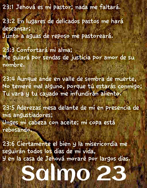 Salmo 23 Image By Cris