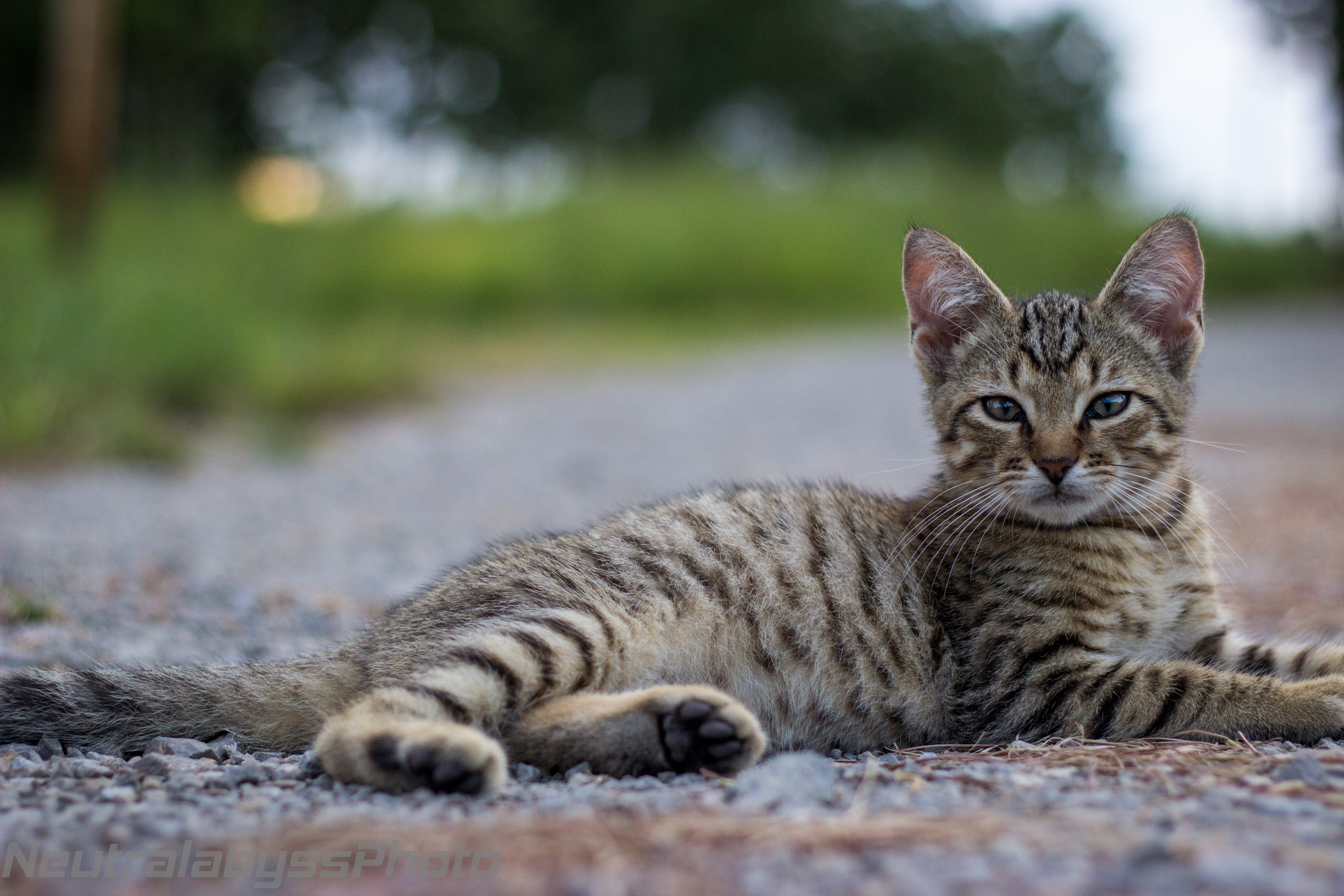 Lil' peanut ⬜ Instagram: neutralabyssphoto bab... - 1024 x 683 jpeg 154kB