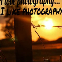 gdcontrastingtype sunset photography summer words