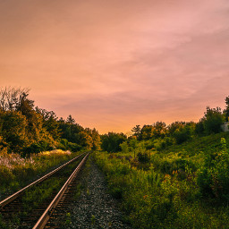 photography colorful nature summer Trains sunset tracks